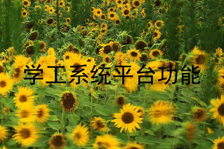 学工系统平台功能