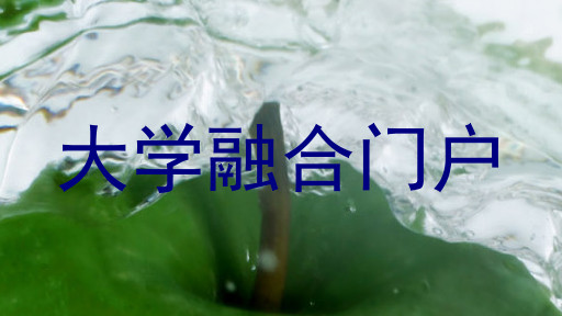 大学融合门户