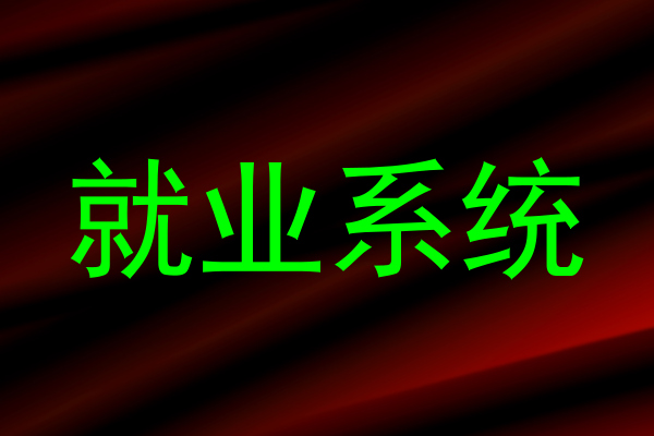 就业系统