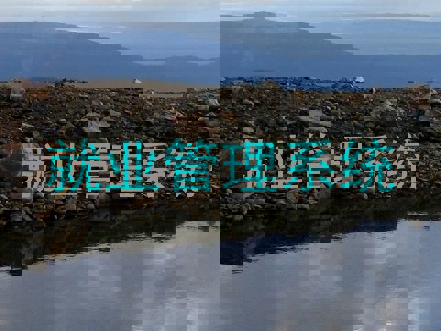 就业管理系统
