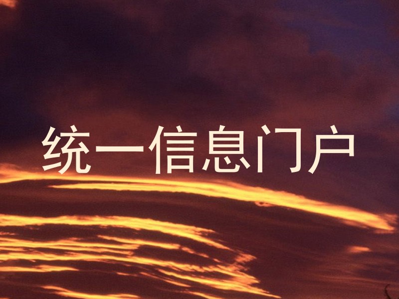 统一信息门户
