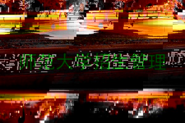 师范大学招生管理