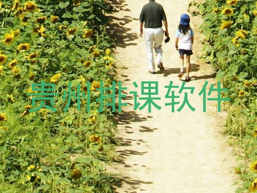 贵州排课软件