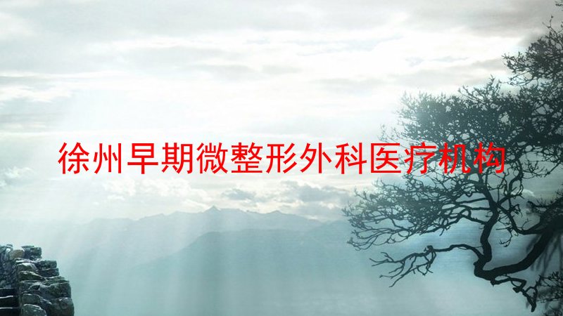 徐州早期微整形外科医疗机构