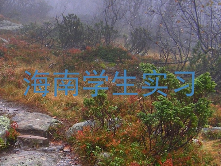 海南学生实习