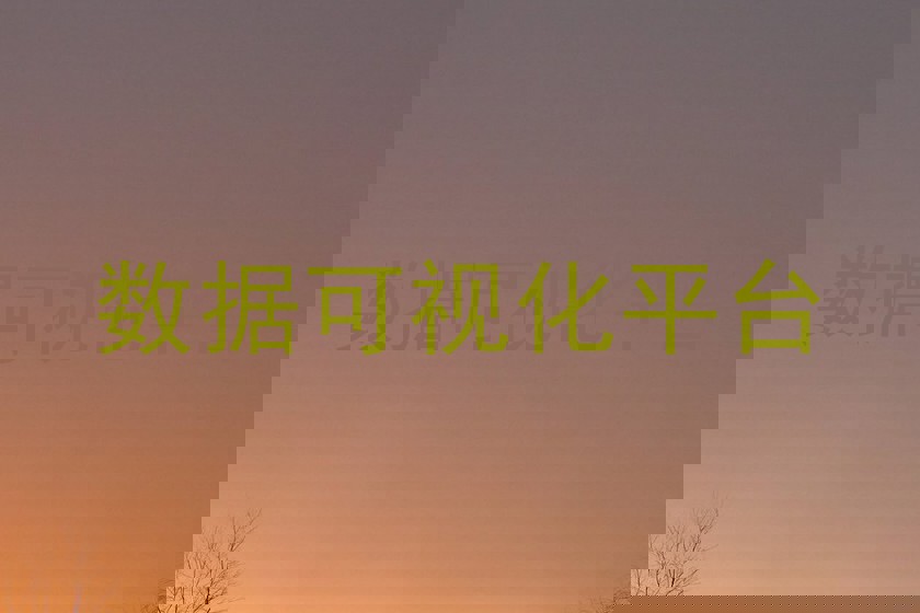 数据可视化平台