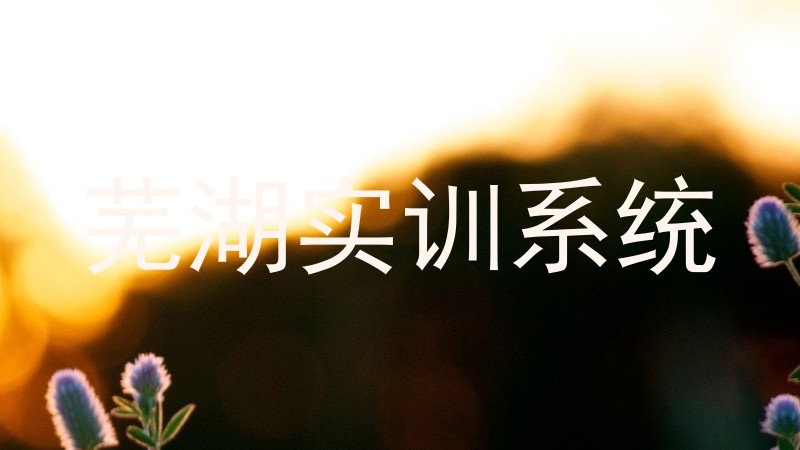 芜湖实训系统