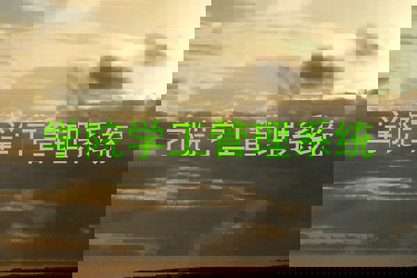 学院学工管理系统