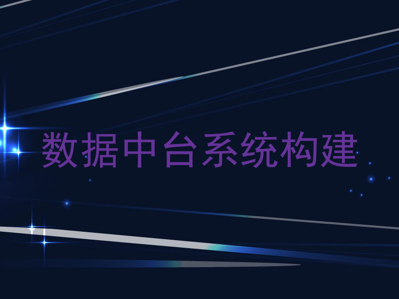 数据中台系统构建