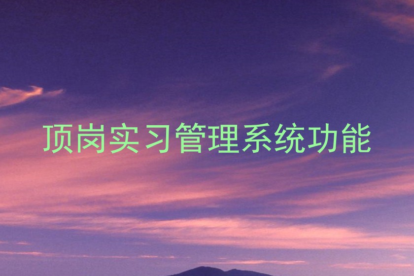 顶岗实习管理系统功能