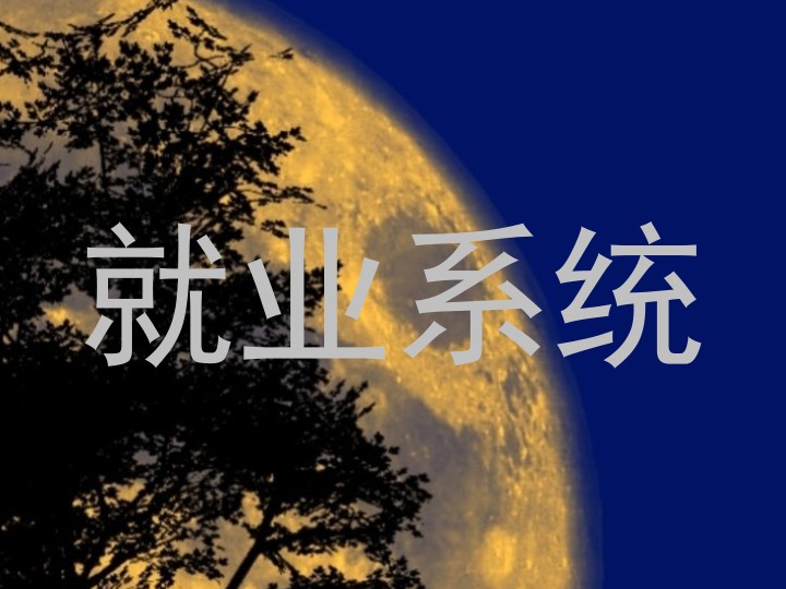 就业系统