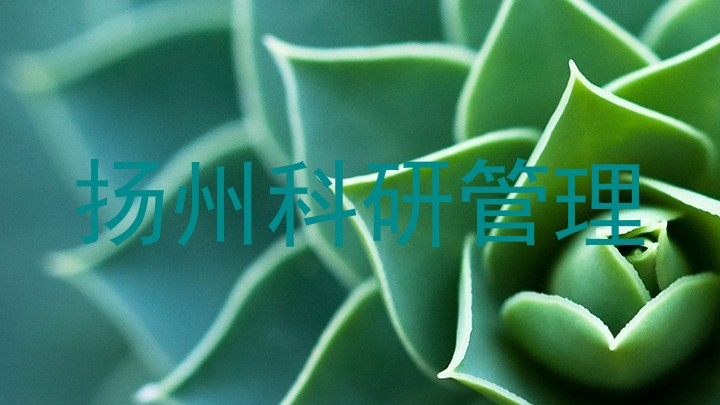 扬州科研管理