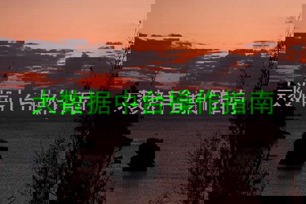 大数据中台操作指南