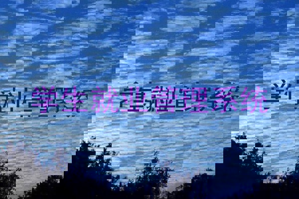 学生就业管理系统