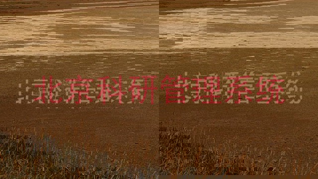 北京科研管理系统