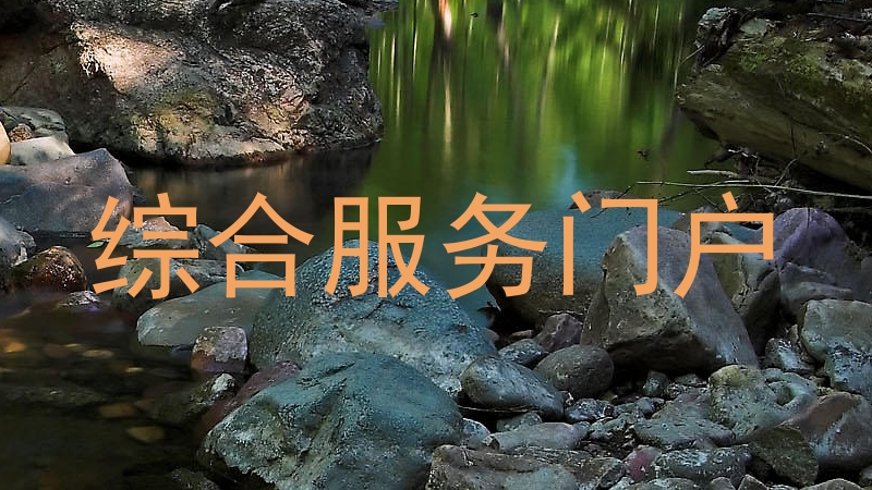 综合服务门户