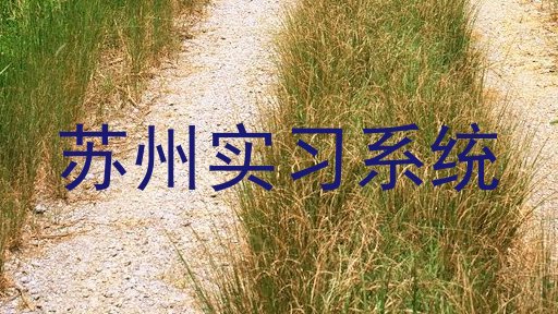 苏州实习系统