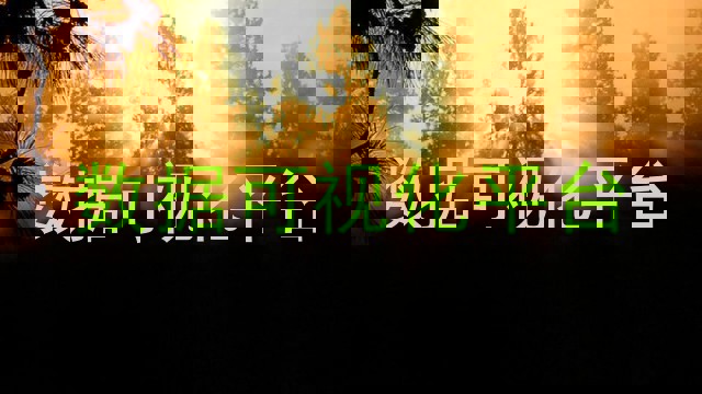 数据可视化平台