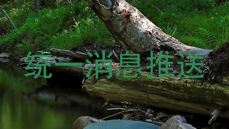 统一消息推送