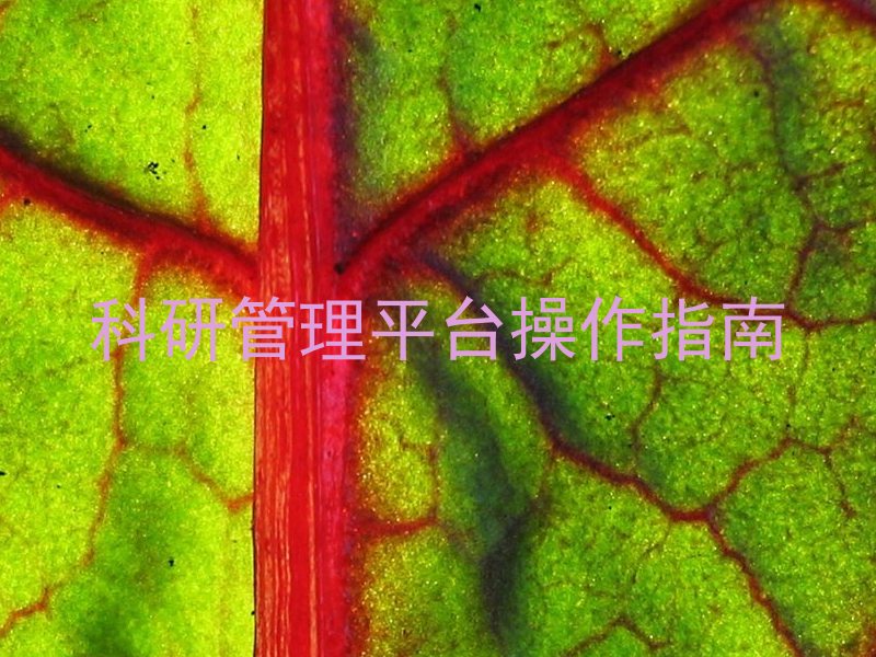 科研管理平台操作指南