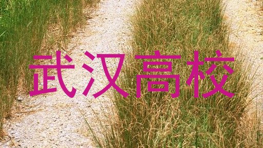 武汉高校