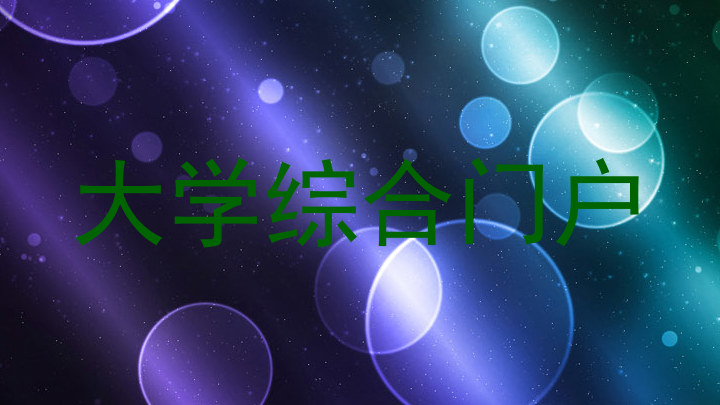 大学综合门户