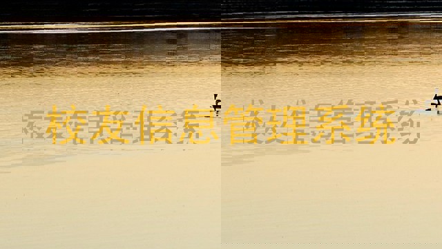 校友信息管理系统