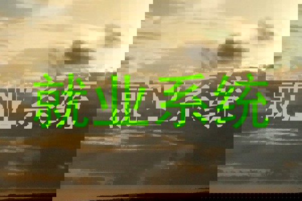 就业系统