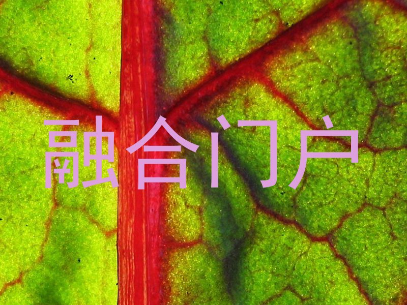 融合门户