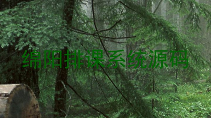 绵阳排课系统源码