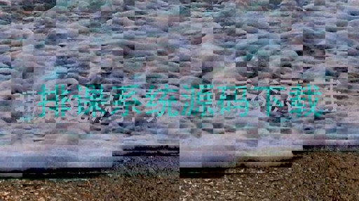 排课系统源码下载