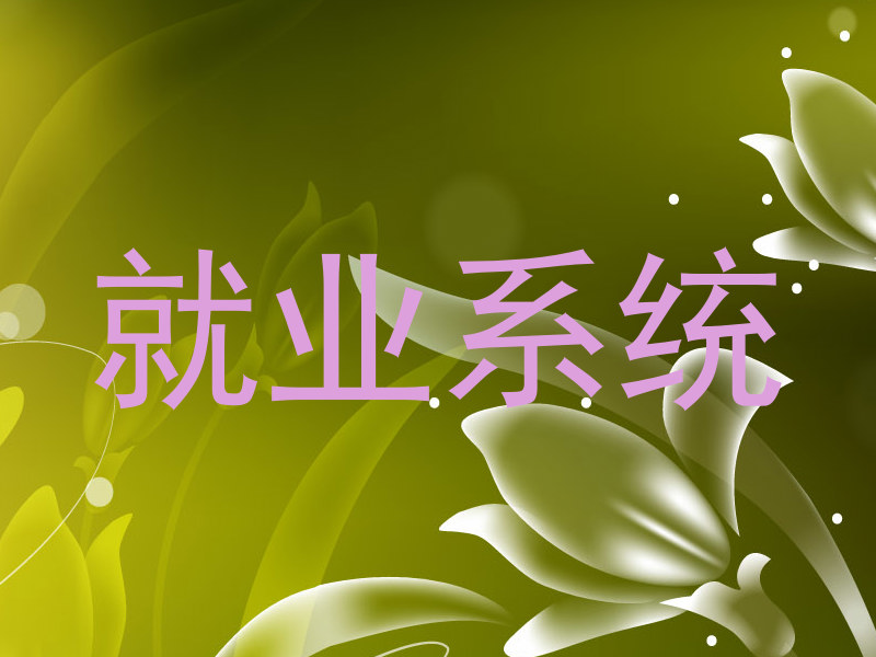 就业系统