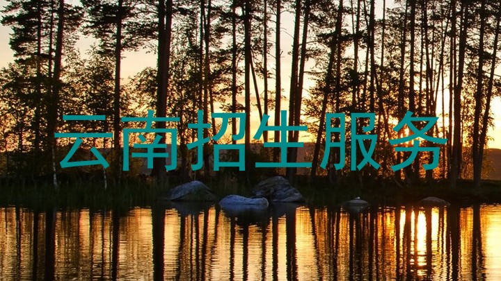 云南招生服务