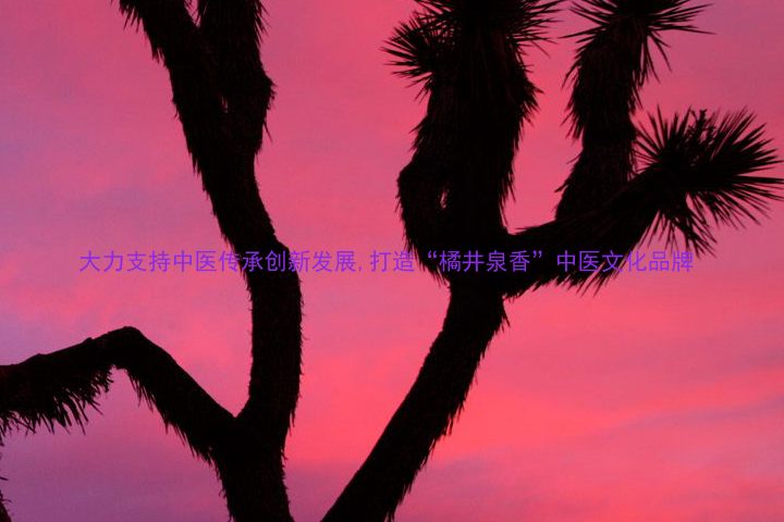 大力支持中医传承创新发展,打造“橘井泉香”中医文化品牌