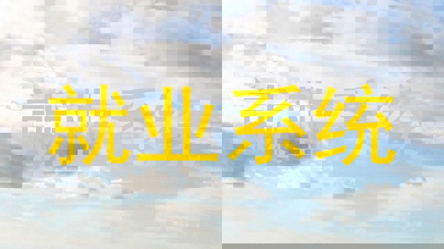 就业系统