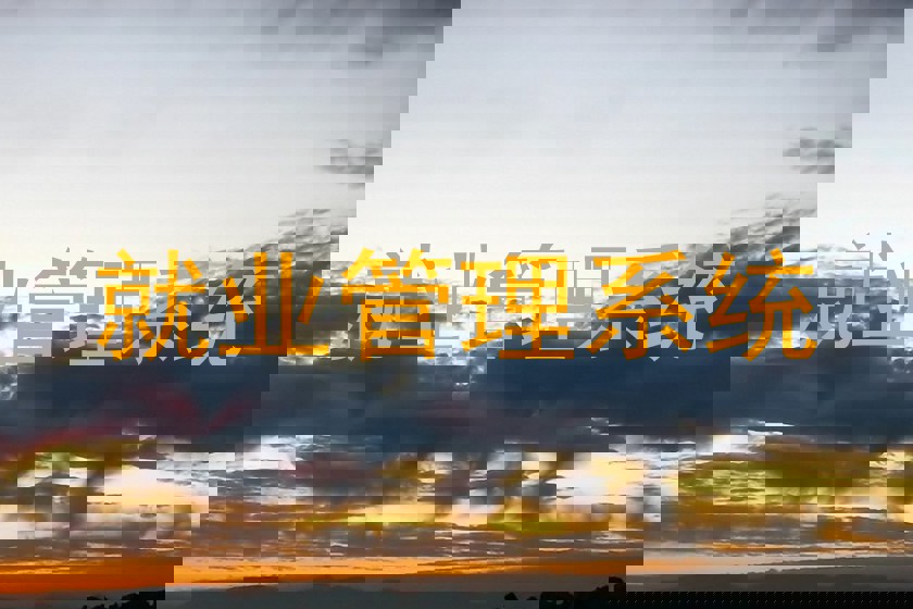 就业管理系统