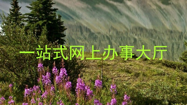 一站式网上办事大厅