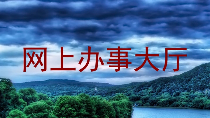 网上办事大厅