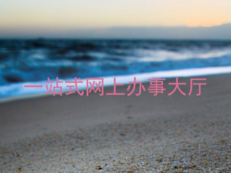 一站式网上办事大厅