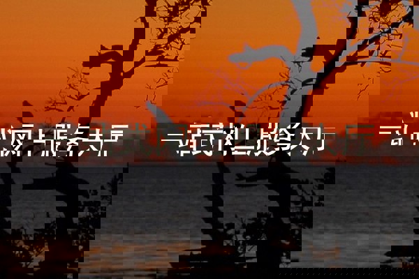 一站式网上服务大厅