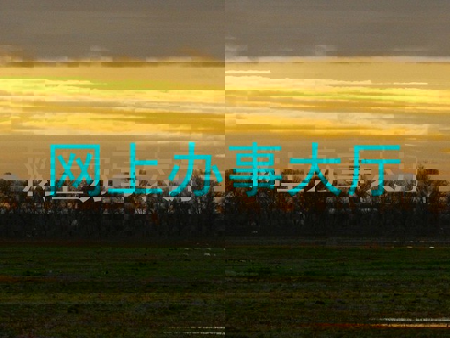 网上办事大厅