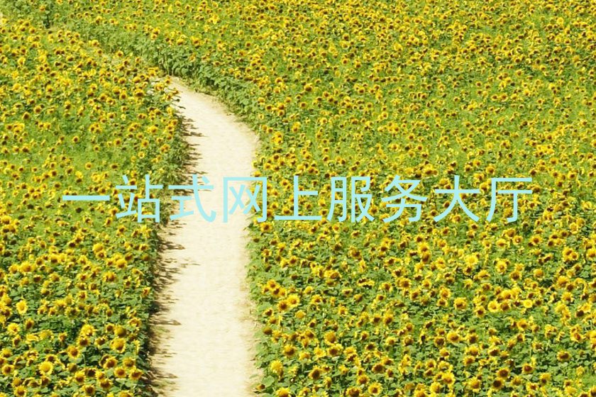 一站式网上服务大厅