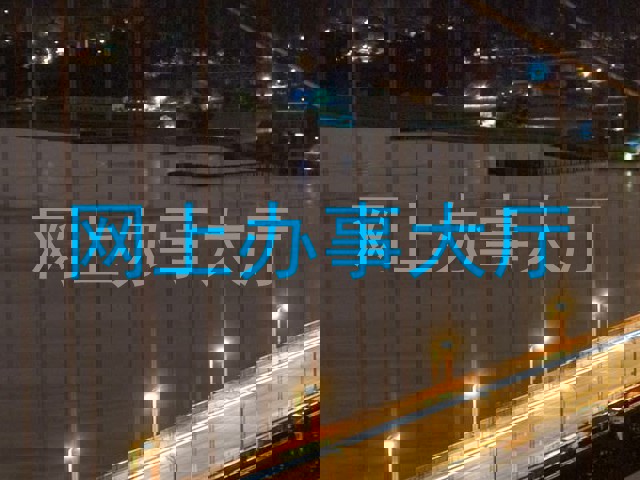 网上办事大厅