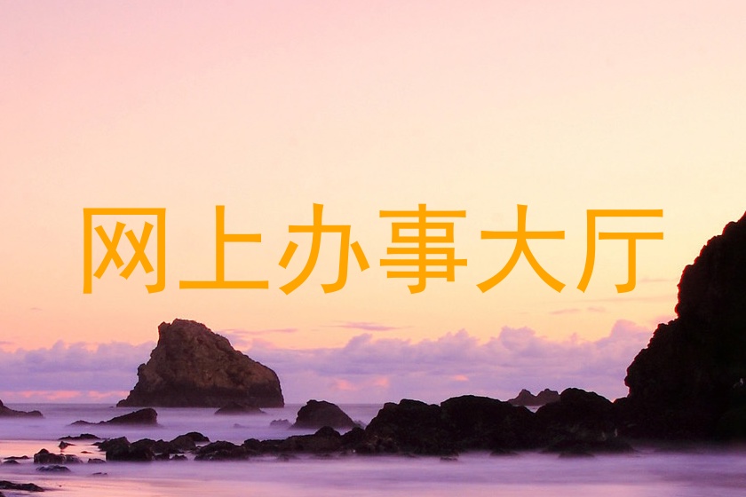 网上办事大厅