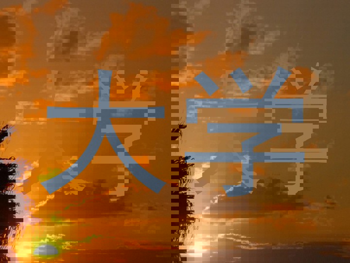 大学
