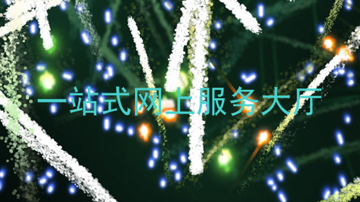 一站式网上服务大厅