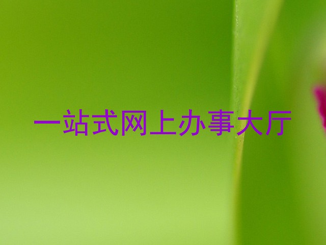 一站式网上办事大厅