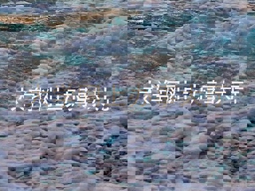 大学网上办事大厅