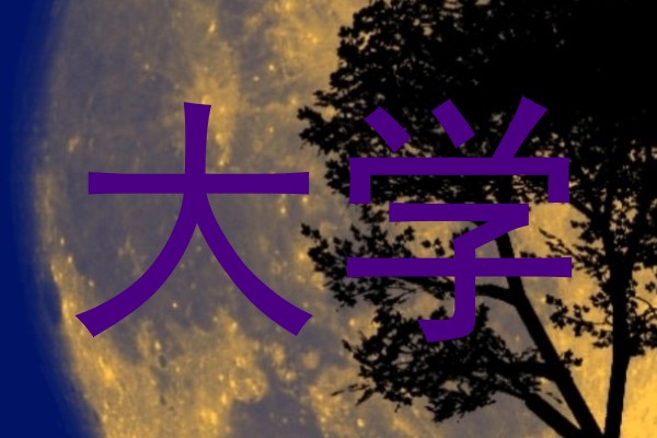 大学