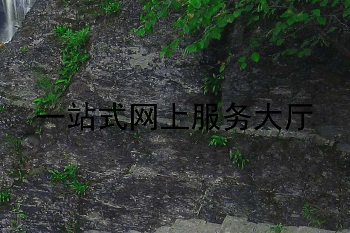一站式网上服务大厅